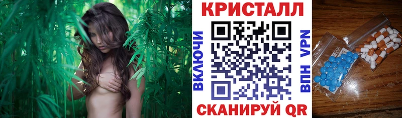 магазин продажи   Таруса  Амфетамин VHQ 
