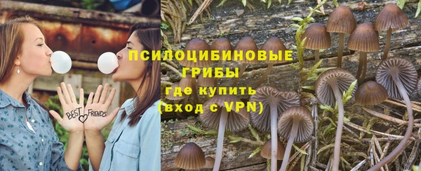 мдпв Арсеньев