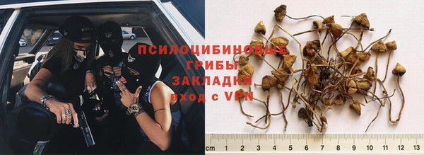 мдпв Арсеньев